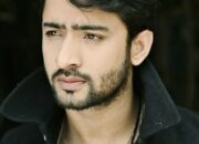 Profil Shaheer Sheikh Biodata lengkap dengan Agamanya