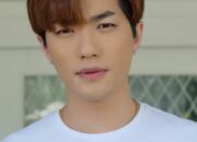Menelusuri Jejak Karier dan Kehidupan Lee Jeong Hoon: Bintang Multitalenta Asal Korea Selatan yang Bersinar di Indonesia