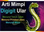 Arti Mimpi Digigit Ular di Punggung Menurut Islam: Pertanda Pengkhianatan atau Ancaman Tersembunyi?