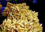 Arti Mimpi Beli Pisang Menurut Islam: Simbol Rezeki atau Kesuburan?