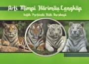 Arti Mimpi Didatangi Harimau Menurut Islam: Simbol Kekuatan atau Ancaman?