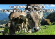 Arti Mimpi Beli Sapi Menurut Islam: Simbol Kesejahteraan atau Pengorbanan?