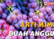 Arti Mimpi Buah Anggur Menurut Islam: Simbol Kesejahteraan dan Keberuntungan