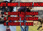 Arti Mimpi Digigit Anjing di Kaki Kanan Menurut Islam: Pertanda Rintangan di Depan?