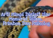 Arti Mimpi Digigit Ular Putih Menurut Islam: Pertanda Kesucian atau Bahaya Tersembunyi?