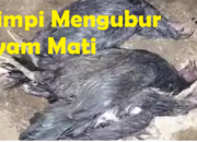 Arti Mimpi Ayam Mati Menurut Islam: Apakah Ini Pertanda Kehilangan?