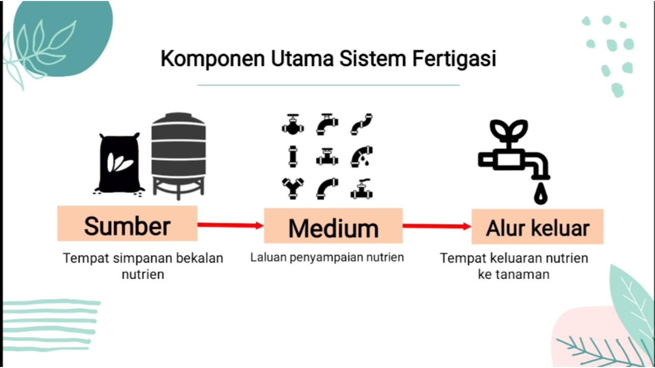 Komponen Utama dalam Brightening Day ‍Cream dan Manfaatnya