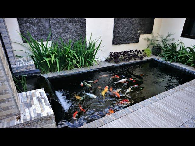 10 Ide Kolam Ikan Minimalis untuk Taman Modern Anda